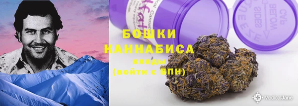 Альфа ПВП Аркадак