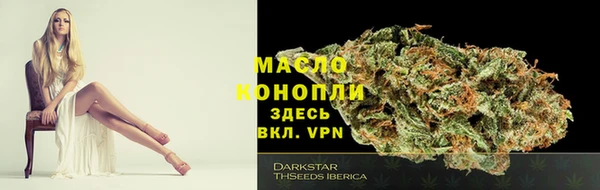 гидра Арсеньев