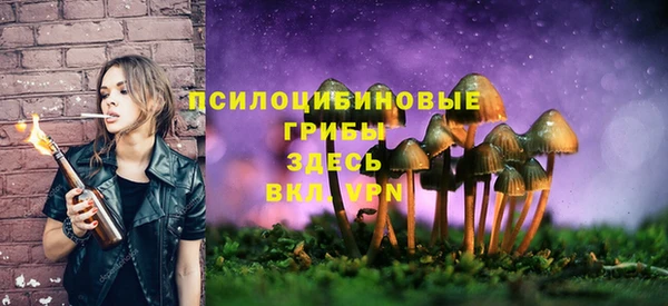 Альфа ПВП Аркадак