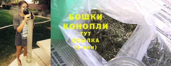 гидра Арсеньев