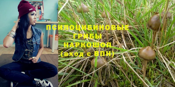 Альфа ПВП Аркадак