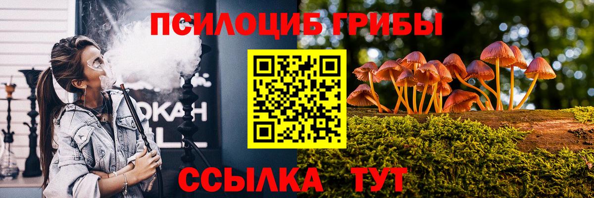 Галлюциногенные грибы MAGIC MUSHROOMS Гурьевск