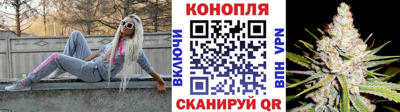 где купить наркотик Гурьевск Бошки марихуана гибрид
